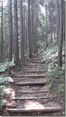 The Kumano Kodo