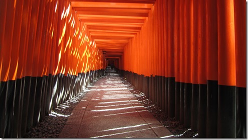 Path through Torii Gates